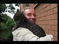 Cats Of Rome