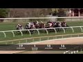 2008 Caulfield Cup, All The Good