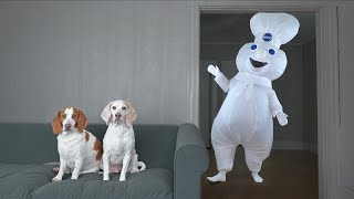 Dogs Surprised by Dancing Doughboy Prank! Funny Dogs Maymo & Potpie vs Giant Cupcake & Donut by Maymo