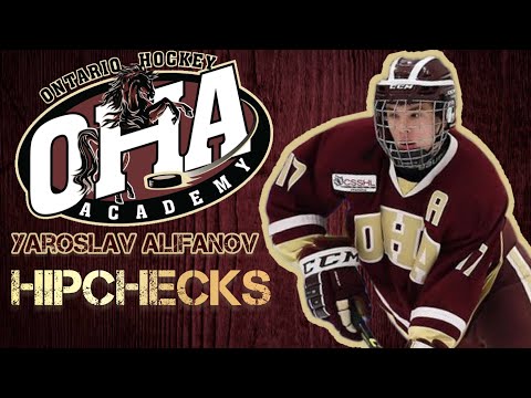 Alifanov Yaroslav Hipchecks