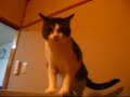 ????????????????