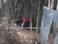 Datasul Finanças - Sniper Paintball