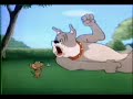 Tom&Jerry Fit to be tied