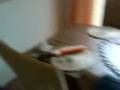 videos de MOV00538