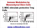 Stem Cell Therapy for Multiple Sclerosis