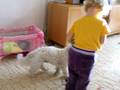 videos de Ame a Bax