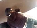 Bolita oscqi y yo.3gp