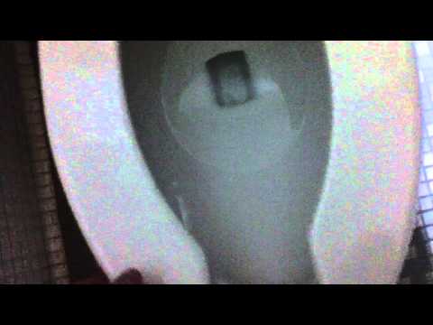 how to unclog a crane toilet
