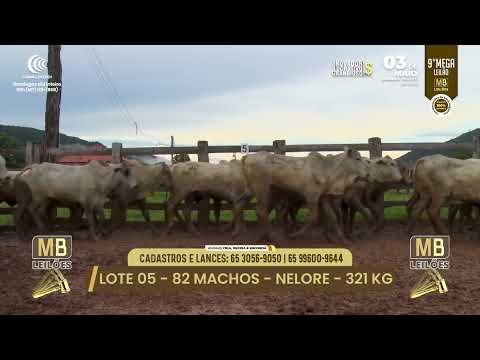 9� MEGA LEIL�O DA MB LEIL�ES