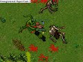 Matt and al vs. venore dragon lair