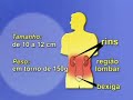 Video sobre Hemodiálise parte 1