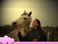 vitloof du bauzec, un petit con�mmara qui enchante ma vie.