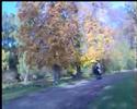 AUTUMN IN DENMARK