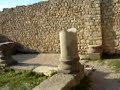 walili Volubilis walili Volubilis