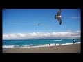 my trance song #1 my trance song #1