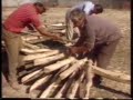 Sabugal - Capeia do Soito - 1986