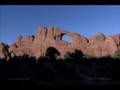 Earth Drum - Power Animals - David and Steve Gordon