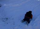 Sledless Sledding Sledless Sledding