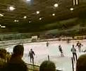 HC ZVVZ MILEVSKO
