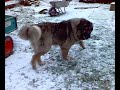 14122009066.mp4