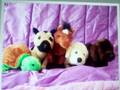 Webkinz World Newz