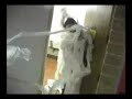 Toilet paper thrower