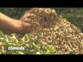 BIOMASA NCTV7 Video Energías Renovables