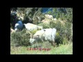 Mountain Biking the Lakes District of Chile and ...