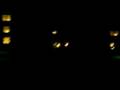 videos de naturnollorna