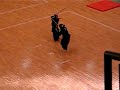 55th All Japan Kendo Championship Nitto