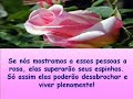 a parabola da rosa