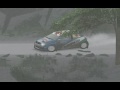 RBR-Online SIRT 2009 Rd 03  BTA LATVIAN RALLY  SS03