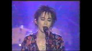 第8回（2016.1.5）