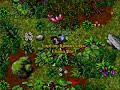 Tiquandas Revenge and Orshabaal dead Tiquandas Revenge and Orshabaal dead