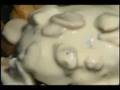 青森県十和田市　Owl アウル