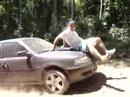 Subindo o Escalvado com o carro do Guar�