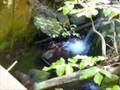 Rhodope Mountains in pictures and sound