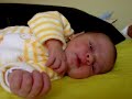 Ariadna amarillo