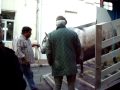MOV01410.MPG