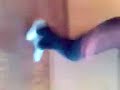 Die Verrückten aus der 8b (realschule rhen)tanzen