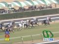 2009年 中山大障害（Ｊ・ＧⅠ） キングジョイ