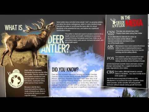 how to harvest deer antlers