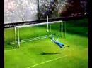 Goals,skills and gaffs Goals,skills and gaffs