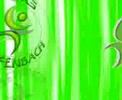 After effects yarismasi icin