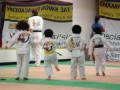 videos de lei 049