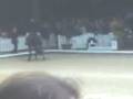 Dartagnan