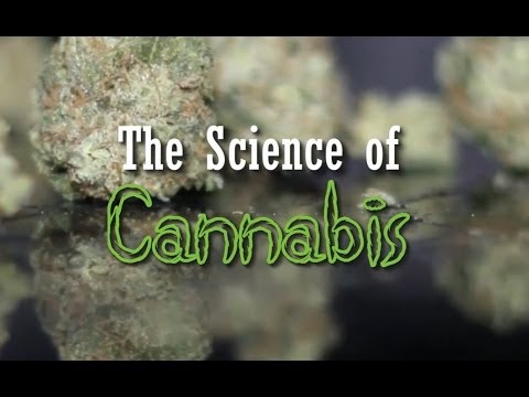 The Science of Cannabis (New Documentary)