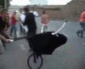 TOROS EN MALPARTIDA DE LA SERENA