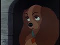 Lady  &  the Tramp - He proposed 