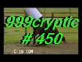 Animals compilation